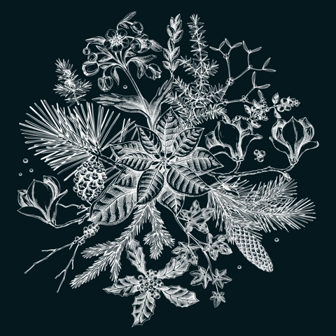 Merry Christmas card template. Evergreen plants, flower, bird sketches. Winter round design on chalkboard. Hand-drawn botanical illustrations. NOT AI generated image